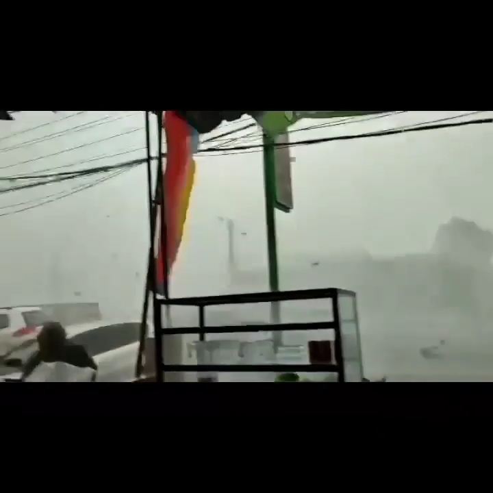 Hujan Badai di Bogor, Pohon Tumbang Timpa Mobil
