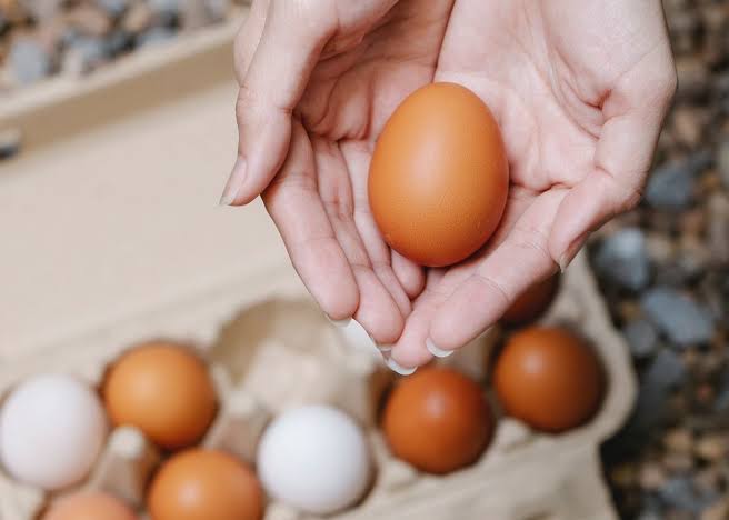 Harga Telur Ayam Tembus Rp60 Ribu di Batam