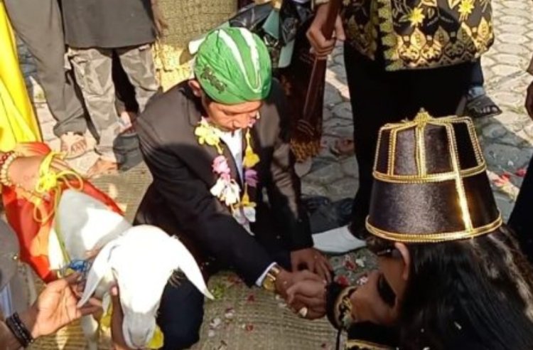 Polres Gresik Tetapkan 4 Tersangka Kasus Pernikahan Manusia Dengan Domba