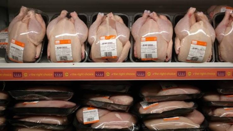 Hari ini, Daging Ayam RI Ekspor ke Singapura