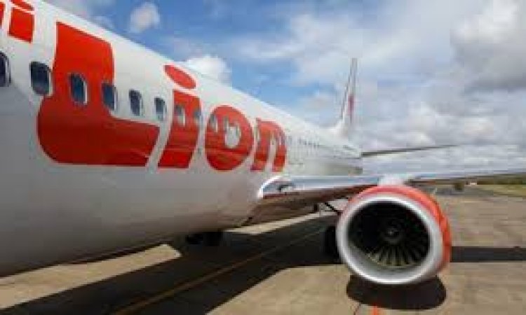 AC Pesawat Mati, Bayi Kepanasan Hingga Menangis saat Lion Air Delay