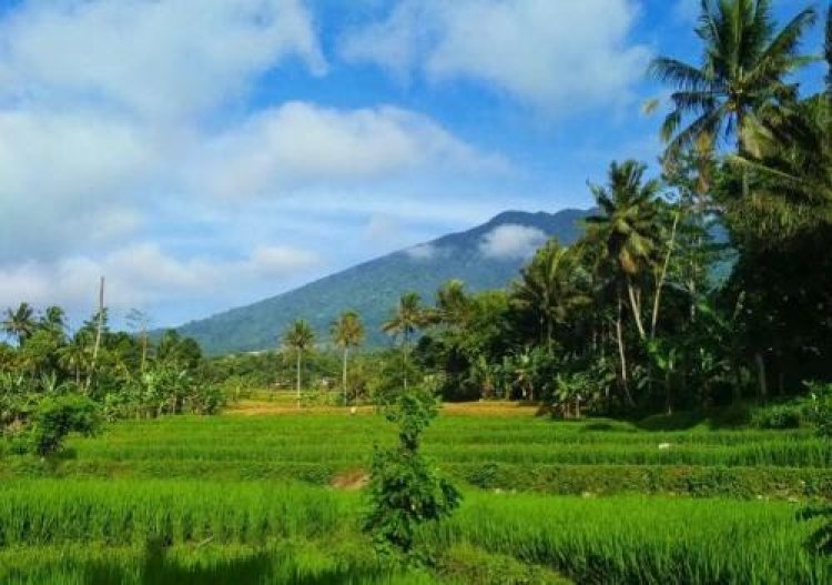 Ini Kampung Janda Terkenal di Indonesia