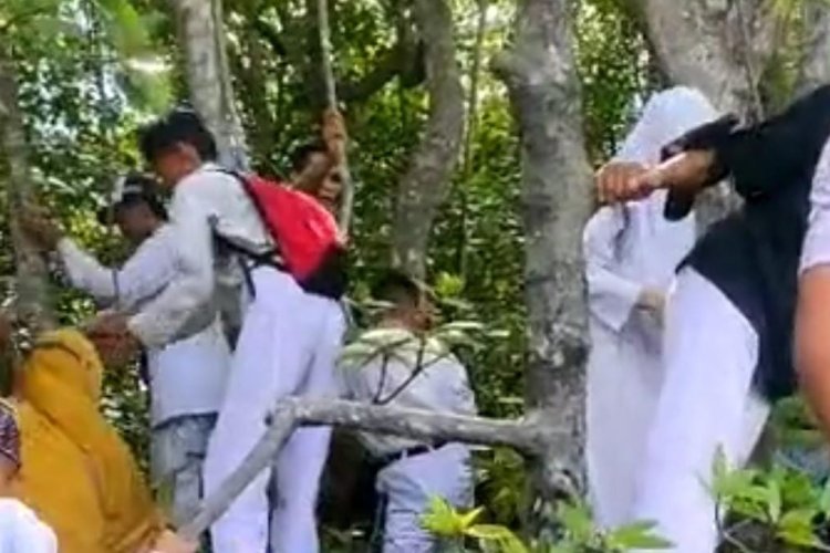 Sejumlah Siswa dan Guru Terdampar di Hutan Mangrove Gegara Kapal Bocor