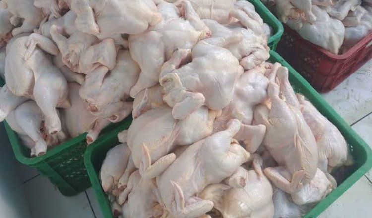Agar Peternak Tak Merugi, Mendag Bakal Atur Harga Daging Ayam