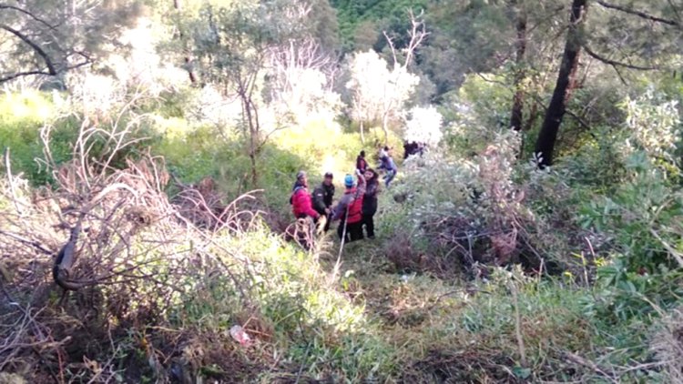 Jip Jatuh ke Jurang Bromo, 2 Wisatawan Tewas