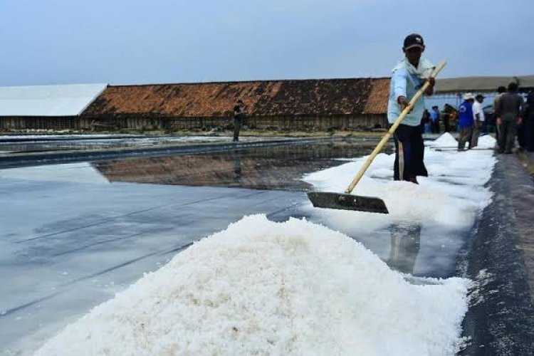 Kasus Impor Garam, Kejagung Periksa Pejabat Kemenko Perekonomian