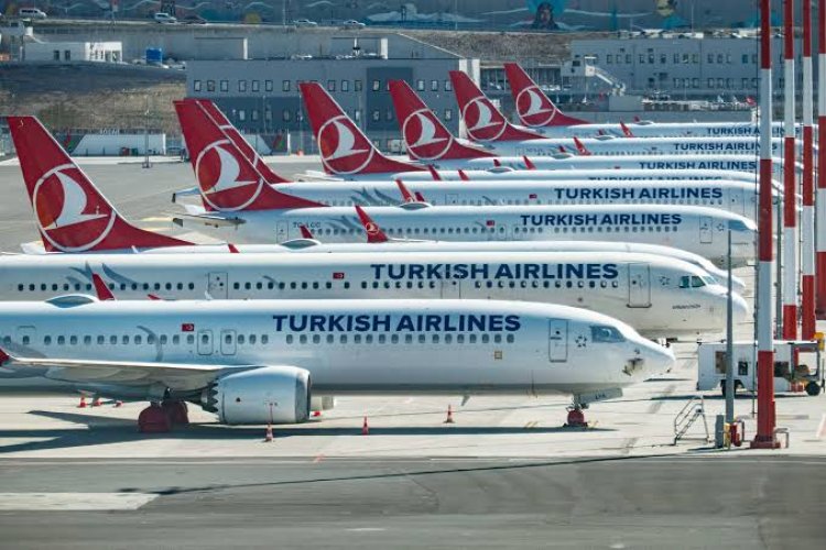 Kronologi WNI Ngamuk di Pesawat Turkish Airlines Versi Pilot Lion Air, Karena Ada Anjing