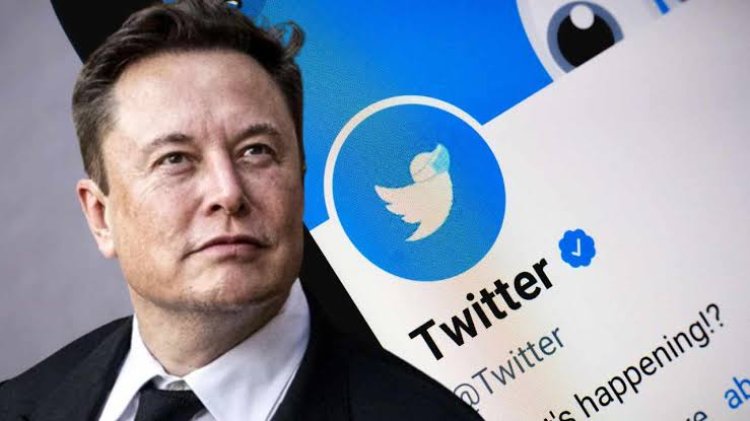 Elon Musk Kembali PHK Pegawai Twitter