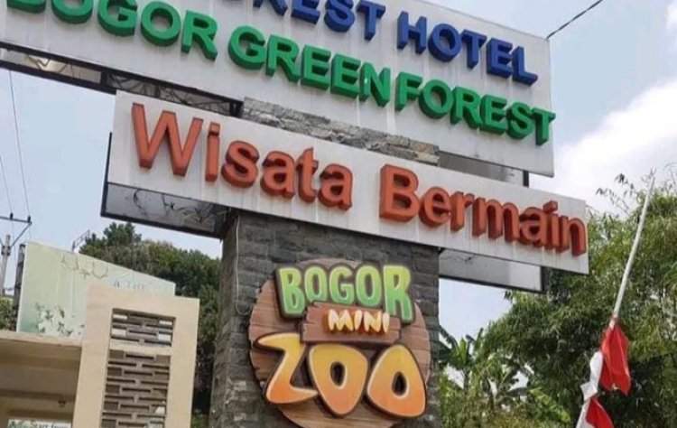 Bogor Mini Zoo Ditutup Sementara Usia Viral Monyet Mati