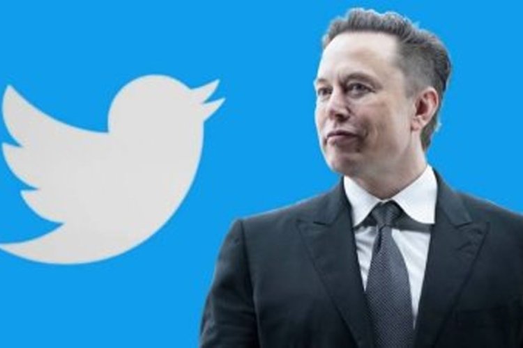 Bikin Polling, Elon Musk: Haruskah Saya Mundur dari CEO Twitter?