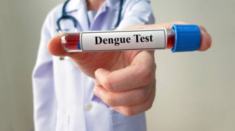 Januari 2023, Kemenkes Mendata 710 kasus Dengue