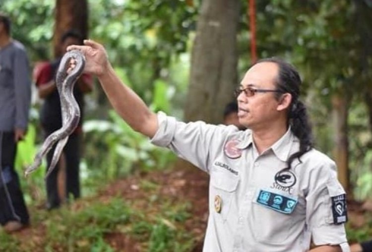 Kabar Duka! Ketua Sioux Ular Indonesia Meninggal Gegara Dipatuk Ular Cobra
