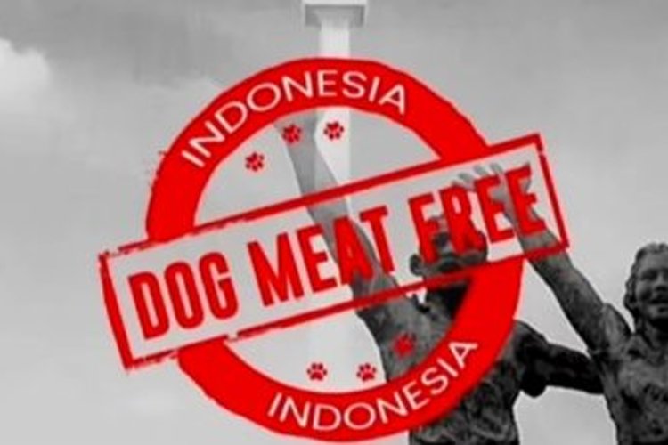 KPKP Provinsi DKI Jakarta Resmi Larang Penjualan Daging Anjing dan Kucing