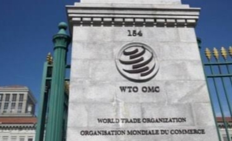 Indonesia Gugat Balik Eropa di WTO Terkait Turunan Nikel