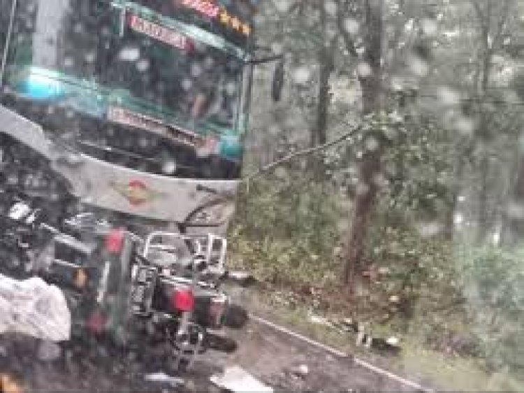 Moge vs Bus Adu Banteng di Jalur Baluran Situbondo, Pengendara Tewas di Tempat