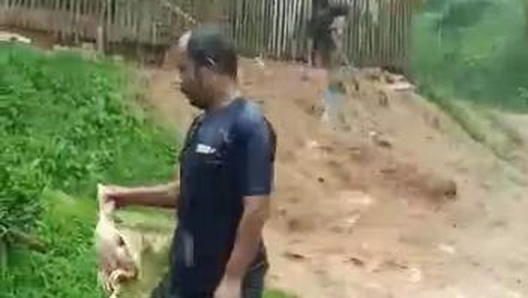 Banjir Bandang Landa Cianjur, Ribuan Ekor Ayam Ternak Hanyut