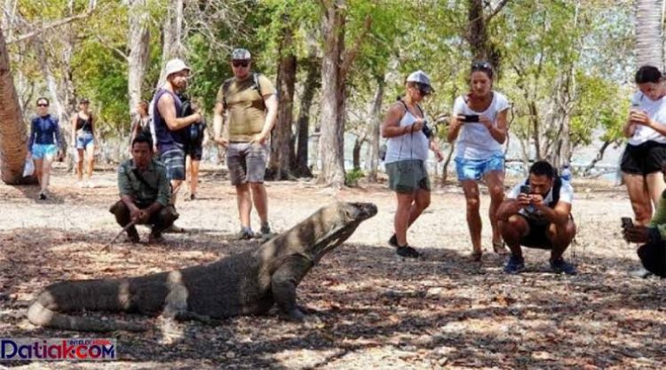 Sandiaga Uno Respon Soal Kenaikan Tarif Pemandu Taman Nasional Komodo