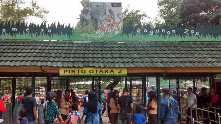 Hari Pertama Lebaran 2023, Taman Margasatwa Ragunan Tutup