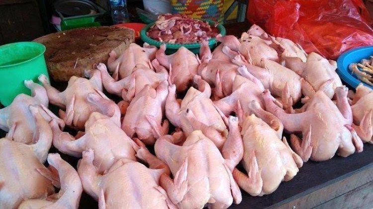 Badan Pangan Buka Suara Soal Harga Ayam Naik Rp 40 Ribu/Ekor