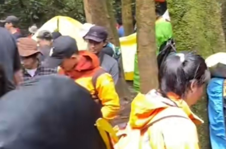 Viral Pendaki Gunung Gede Terjebak Macet, Penuh Bak di Pasar