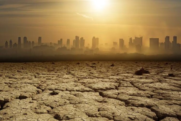 Pemanasan Global yang Perlu Diketahui, Dampak dan Penyebabnya