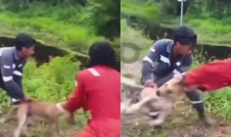 Viral Dua Pekerja Lempar Anjing Hidup-hidup ke Buaya di Kaltara