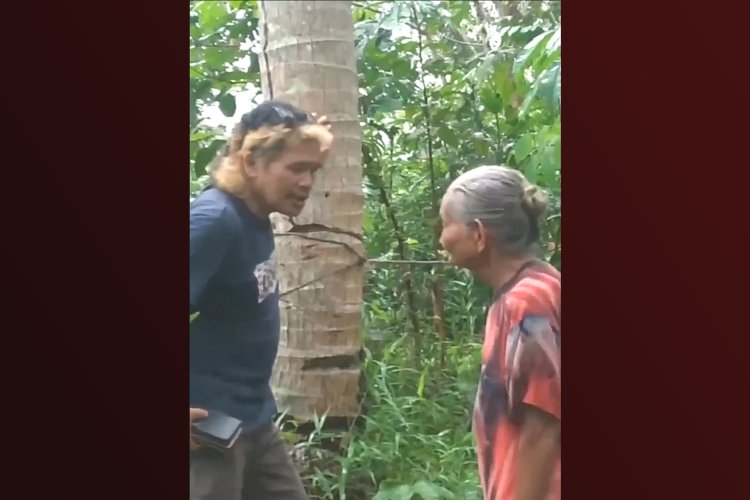 Nenek di Kalimantan Barat Dilaporkan ke Polisi Oleh Tetangganya Setelah Diduga Mencuri 20 Butir Buah Kelapa.