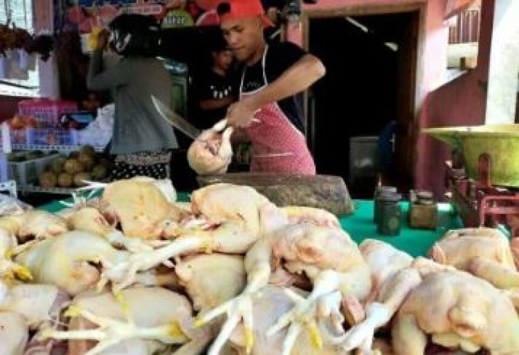 Harga Daging Ayam di Blitar Tetap Tinggi, Stabil di Rp 40.000 per Kilogram selama Lebih dari 2 Pekan