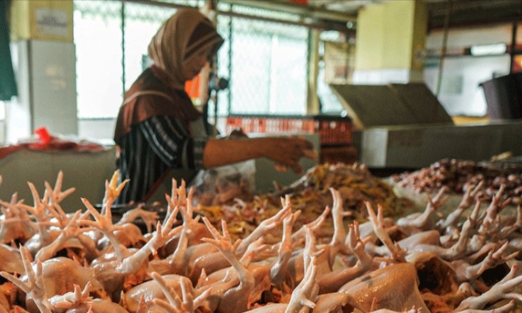 Harga Daging Ayam Naik Tembus Rp 38.000 Per Ekor di Pasar Induk Kramatjati