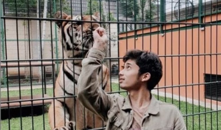 Alshad Ahmad Dihujat Warganet Gegara Anak Harimaunya Mati