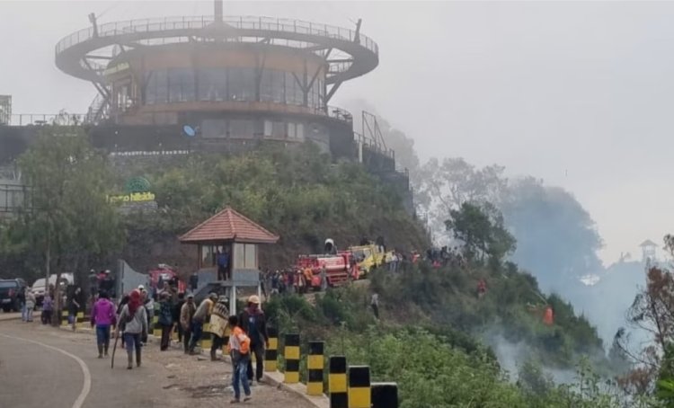 Kebakaran di Gunung Bromo, Api Mulai Merembet ke Kawasan Kabupaten Malang