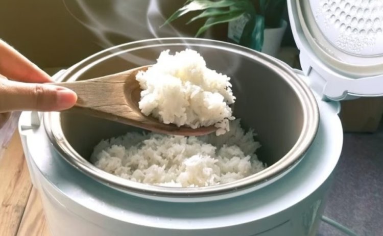 Pemerintah Bakal Bagikan 500 Ribu Rice Cooker Gratis Awal November 2023