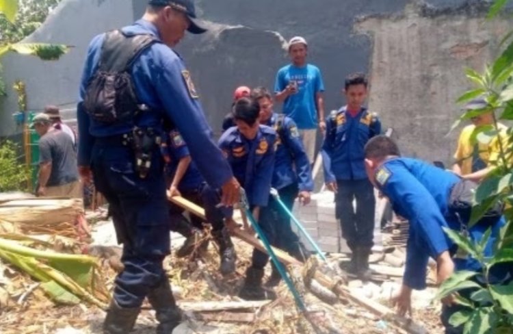 Dikira Kain Batik, Ular Sanca Muncul dari Tumpukan Sampah di Bekasi