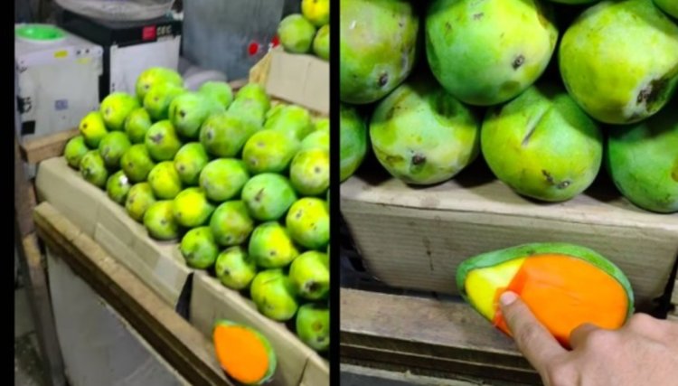 Viral Pria Ini Bongkar Tipuan Pedagang Mangga dengan Dilapisi Plastik Oranye