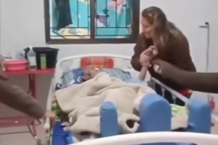 Viral Seekor Gajah Menjenguk Tuannya yang Sedang Sakit di Rumah Sakit