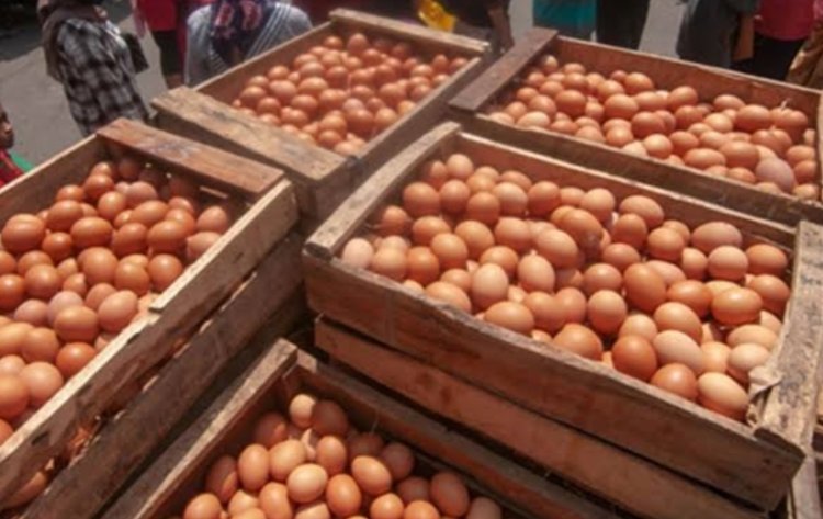 Kepala Bapanas Ungkap Alasan Harga Telur Ayam Makin Mahal