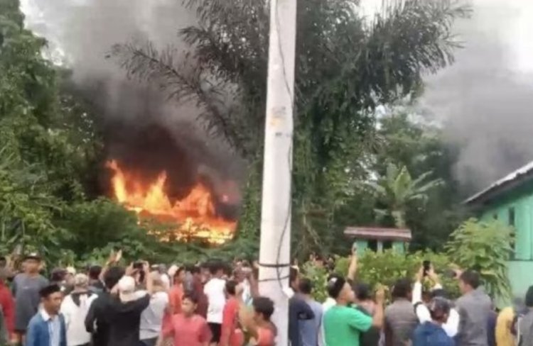 Warga di Lampung Barat Diserang Harimau Sumatera, Kantor Balai TNBBS Dibakar Massa