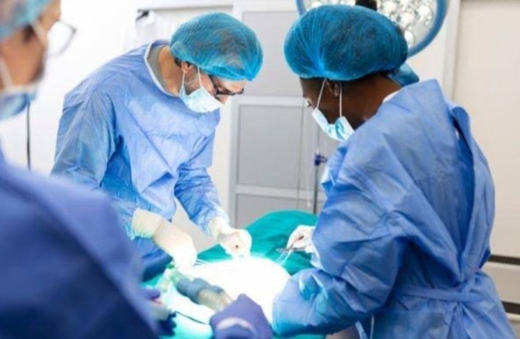 Transplantasi Ginjal Babi ke Manusia Berhasil Dilakukan di Amerika Serikat