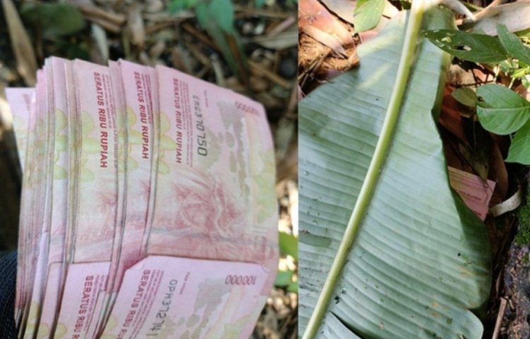 Viral Pria Ini Temukan Uang Rp 5,4 Juta Dekat Kuburan Cina dan Ditutupi Daun Pisang
