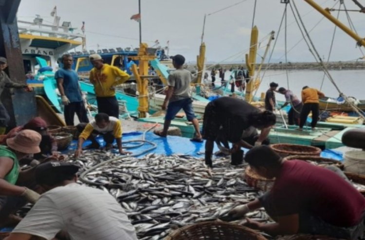 Karena Tak Laku Dijual, Nelayan di Aceh Buang Hasil Tangkap Ikan