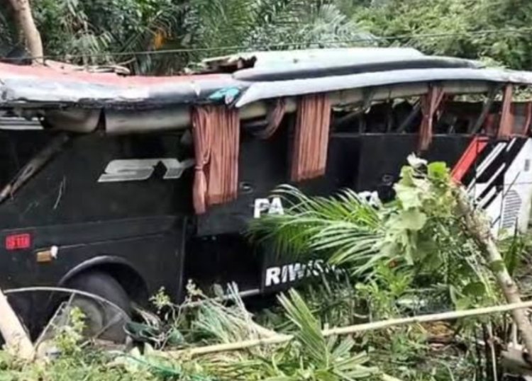 Diduga Rem Blong, Bus Study Tour Rombongan Siswa dan Guru MIN 1 Pesisir Barat Masuk Jurang di Lampung
