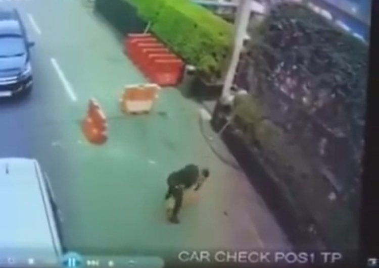 Terungkap dari CCTV, Alasan Sekutiri Memukul Anjing di Plaza Indonesia