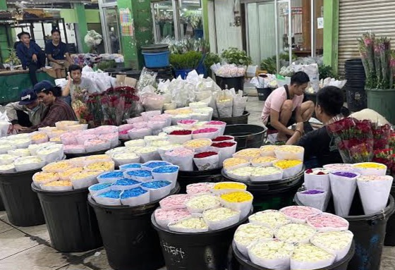 Harga Mawar Melonjak di Rawa Belong Jakbar Tembus Rp150 Ribu Saat Musim Wisuda