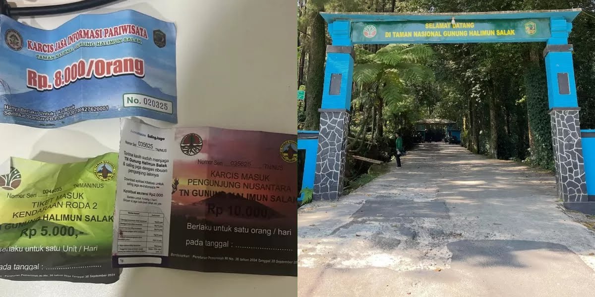 Heboh Wisatawan Keluhkan Tarif Masuk Gunung Halimun Salak Bogor, Bayar Rp90 Ribu Dapat Setumpuk Tiket