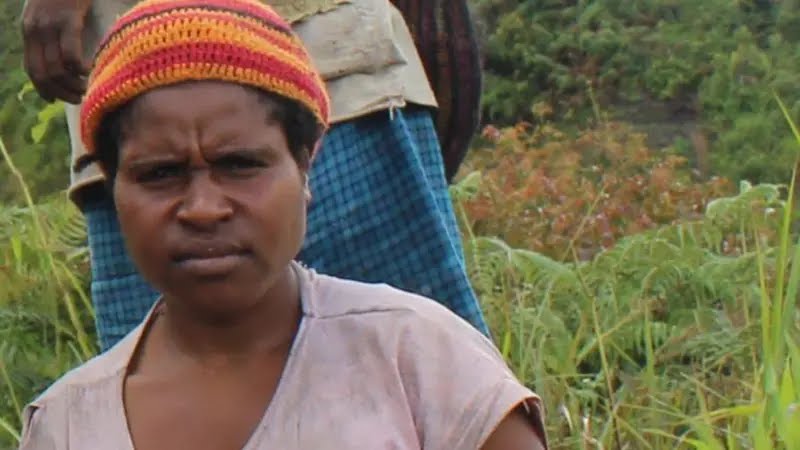 Ibu Hamil di Yahukimo Meninggal Akibat Terkendala Evakuasi Udara Usai Insiden Pesawat AMA
