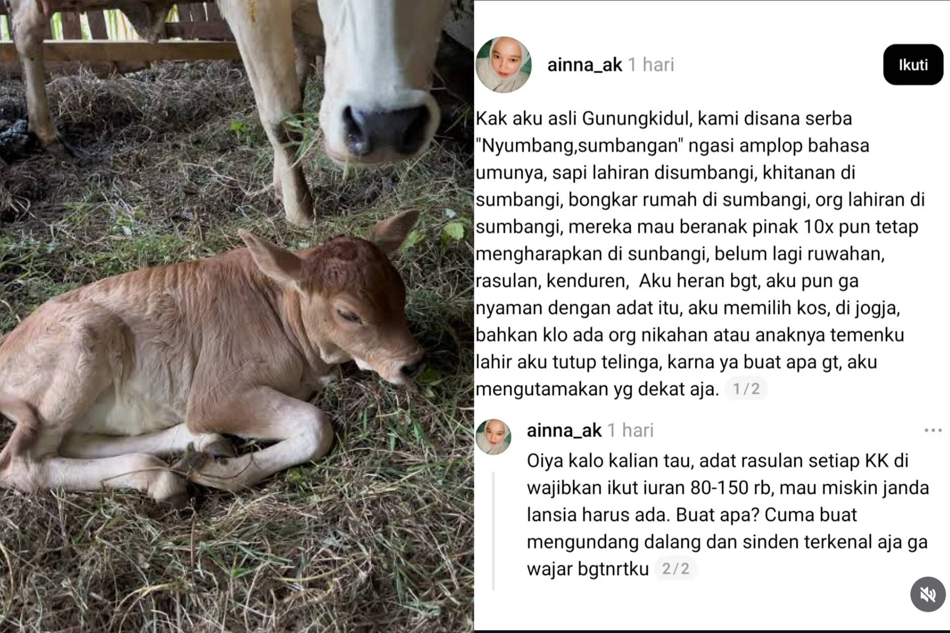 Heboh Curhat Warga Gunungkidul Soal Beban Tradisi 'Nyumbang': Sapi Lahiran Pun Harus Dikasih Amplop