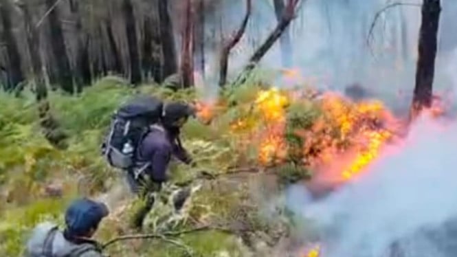 Kebakaran Gunung Arjuno-Welirang Hanguskan 146.85 Hektare, Pendakian Ditutup Total