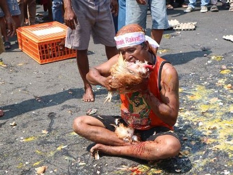 Peternak Pati Demo, Aksi Makan Ayam Hidup hingga Lempar Telur ke Kantor Bupati Bikin Geger