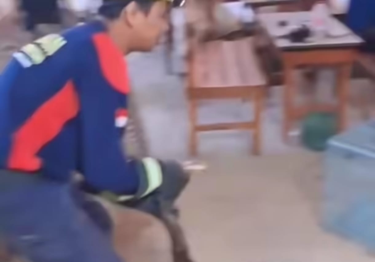 Piton Sepanjang 5 Meter Masuk Warung Kopi di Pasuruan, Pengunjung Sontak Panik
