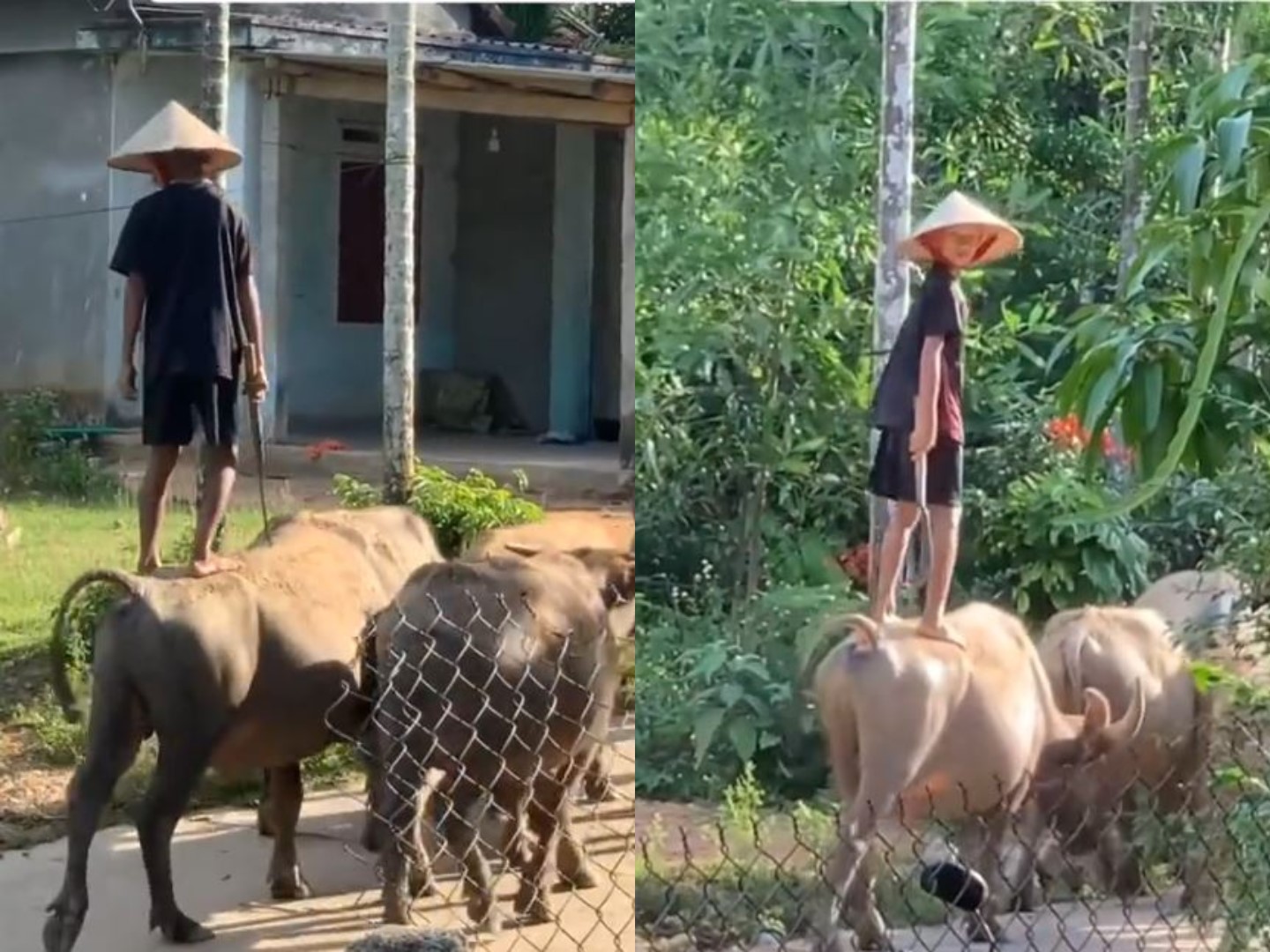 Bikin Takjub! Penampakan "Bocil Langka" Giring Tumpukan Uang Bernilai Fantastis Pulang ke Rumah